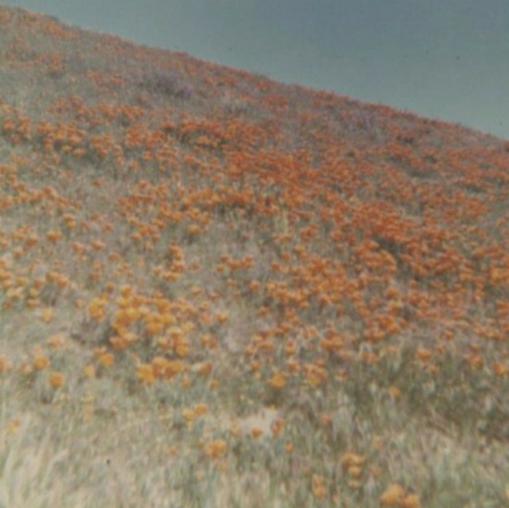 Meet your Posher, Ash